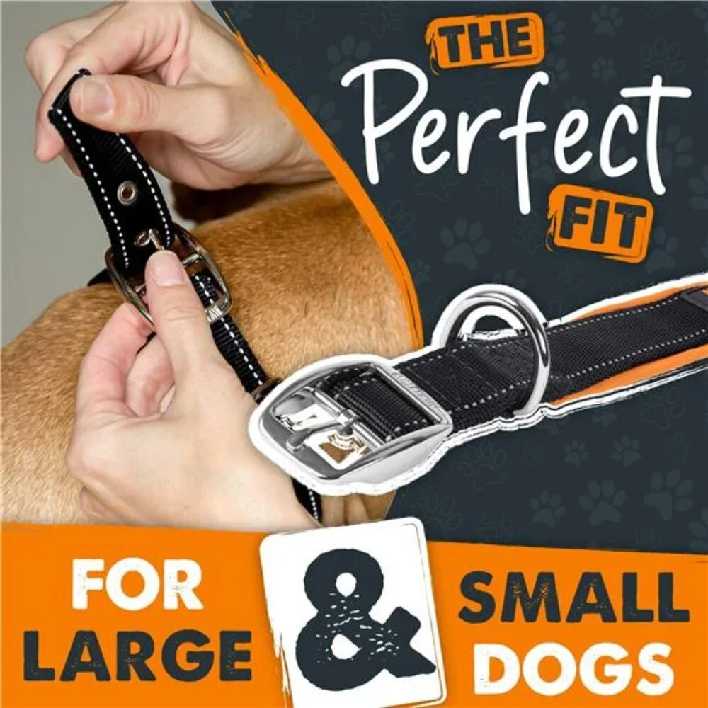 Sport Collar 2.0 | Soft Neoprene Padded Dog Collar for Maximum